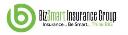 BizSmart Contractors Insurance Near Me | BizSmart logo